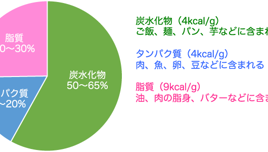 栄養バランスについて😄